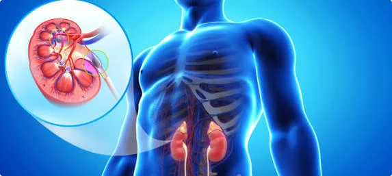 Urologist Near Me