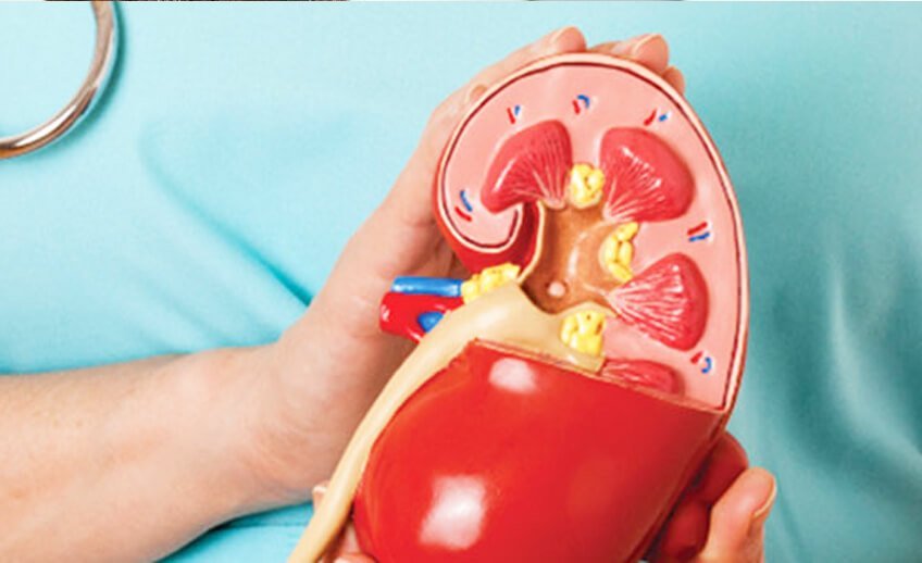 best Nephrologist Pune