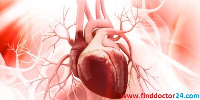 7 Tips for a Healthy Heart Preventing Heart Disease