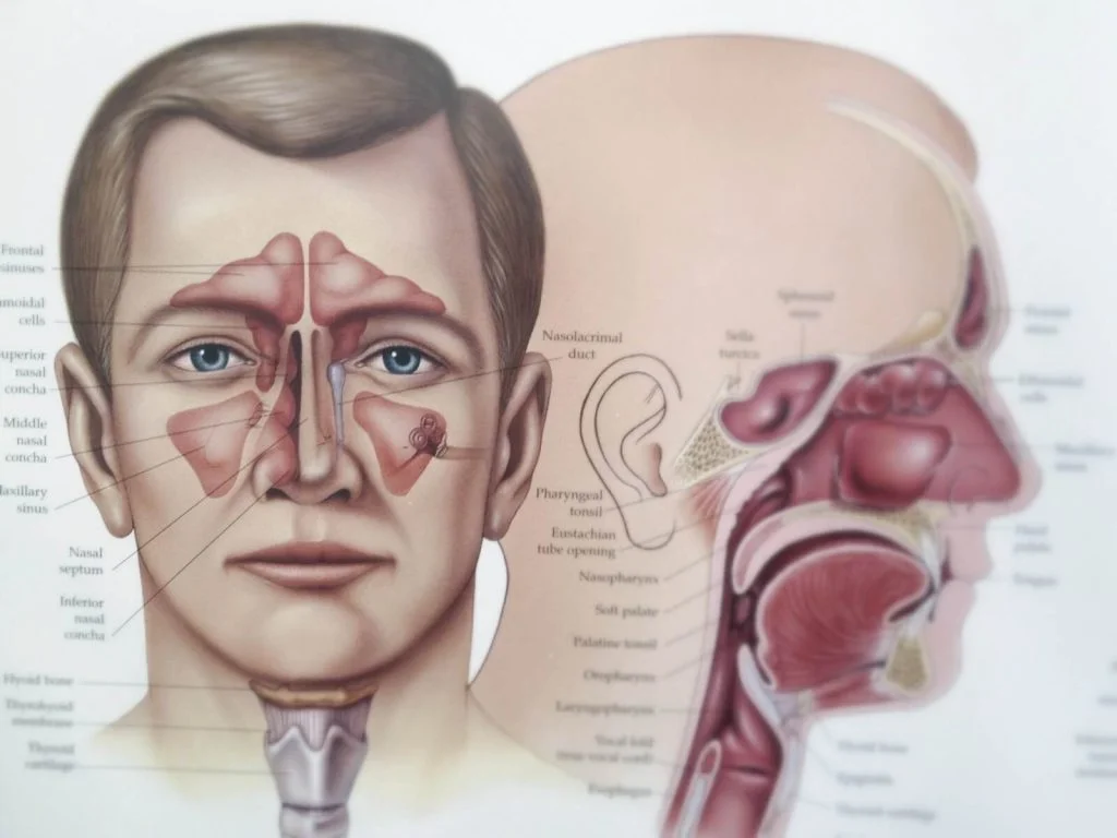 Comilla ENT Specialist