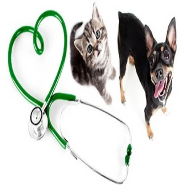 Dhaka Animal Hospital Dhaka Animal Hospital